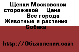 Щенки Московской сторожевой  › Цена ­ 25 000 - Все города Животные и растения » Собаки   